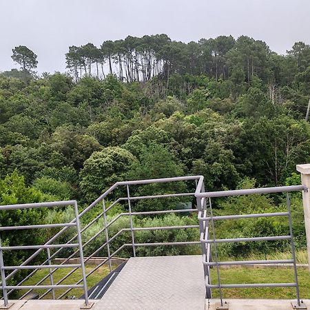 Les Chataigniers Appartement Meuble Saint Sebastien d'Aigrefeuille Eksteriør billede
