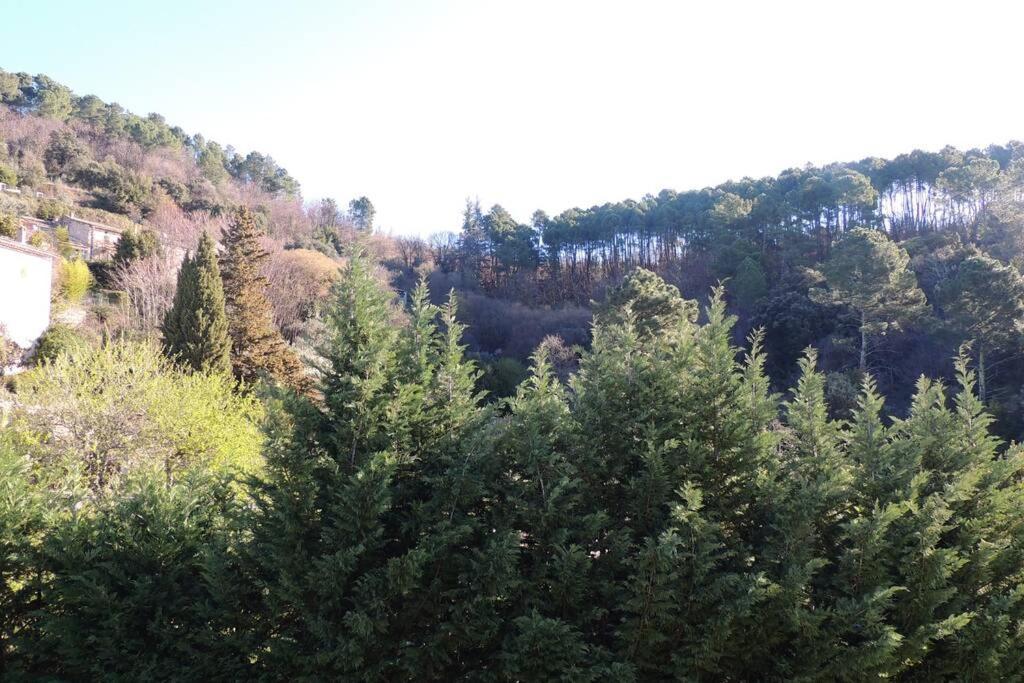 Les Chataigniers Appartement Meuble Saint Sebastien d'Aigrefeuille Eksteriør billede